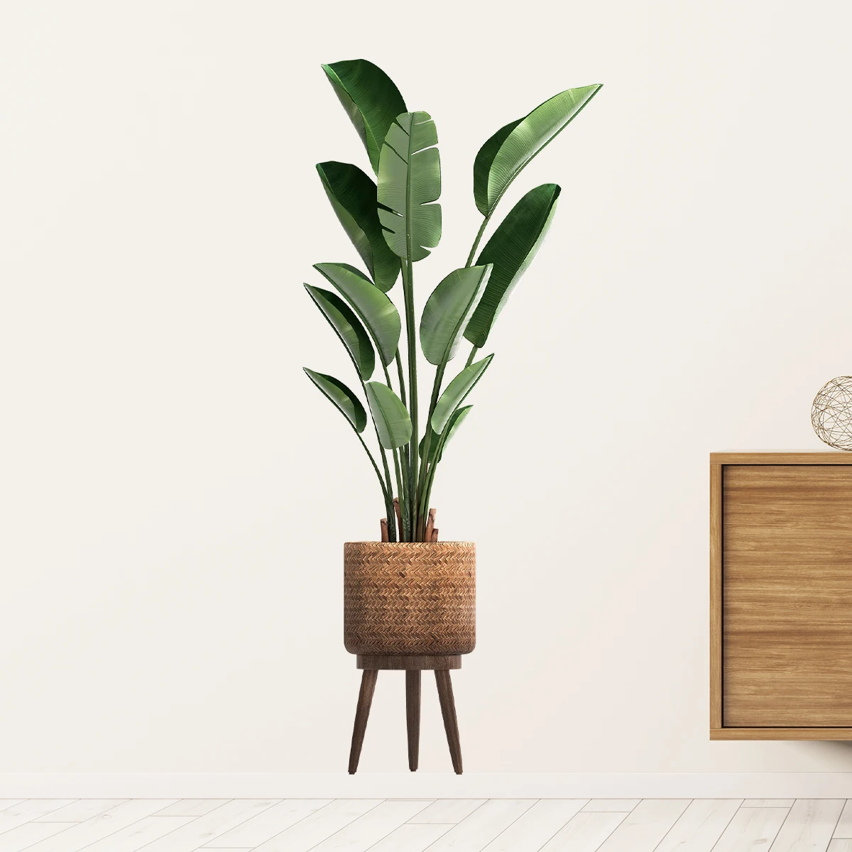 محاكاة النباتات الخضراء الزينة - مراجعة Interior Design Office وسعره